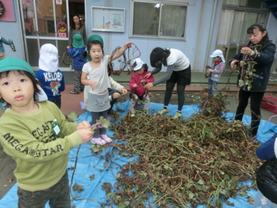 f:id:draper:20141204142307j:image