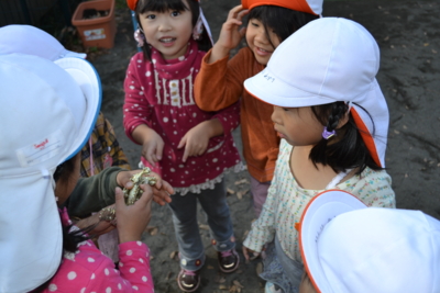 f:id:draper:20141205151537j:image