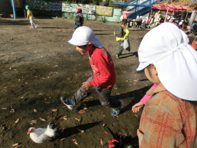 f:id:draper:20141208161047j:image