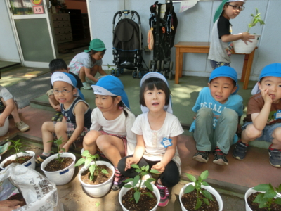 f:id:draper:20150508172232j:image