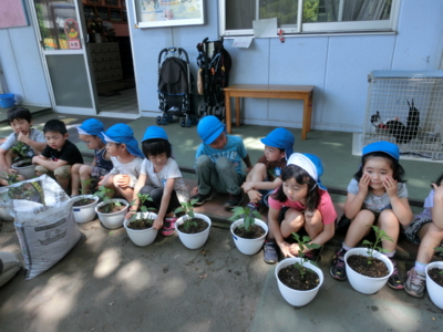 f:id:draper:20150508172245j:image