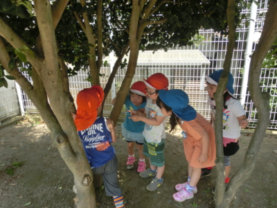 f:id:draper:20150515193423j:image