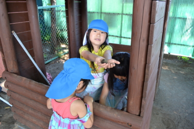 f:id:draper:20150521174543j:image