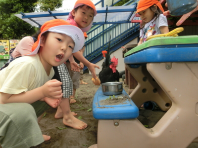 f:id:draper:20150522190423j:image
