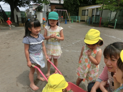 f:id:draper:20150522192327j:image