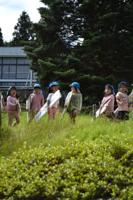 f:id:draper:20150715184459j:image