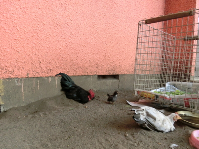 f:id:draper:20150802131657j:image