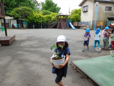 f:id:draper:20160511143753j:image