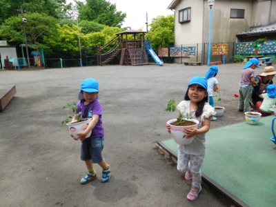 f:id:draper:20160511143805j:image