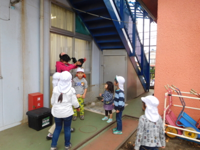 f:id:draper:20161121145822j:image