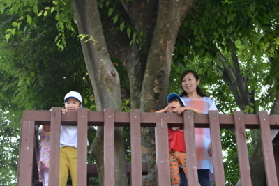 f:id:draper:20170703182859j:image
