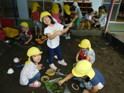 f:id:draper:20170906131455j:image