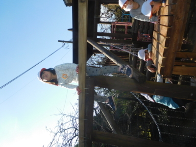 f:id:draper:20171205165644j:image