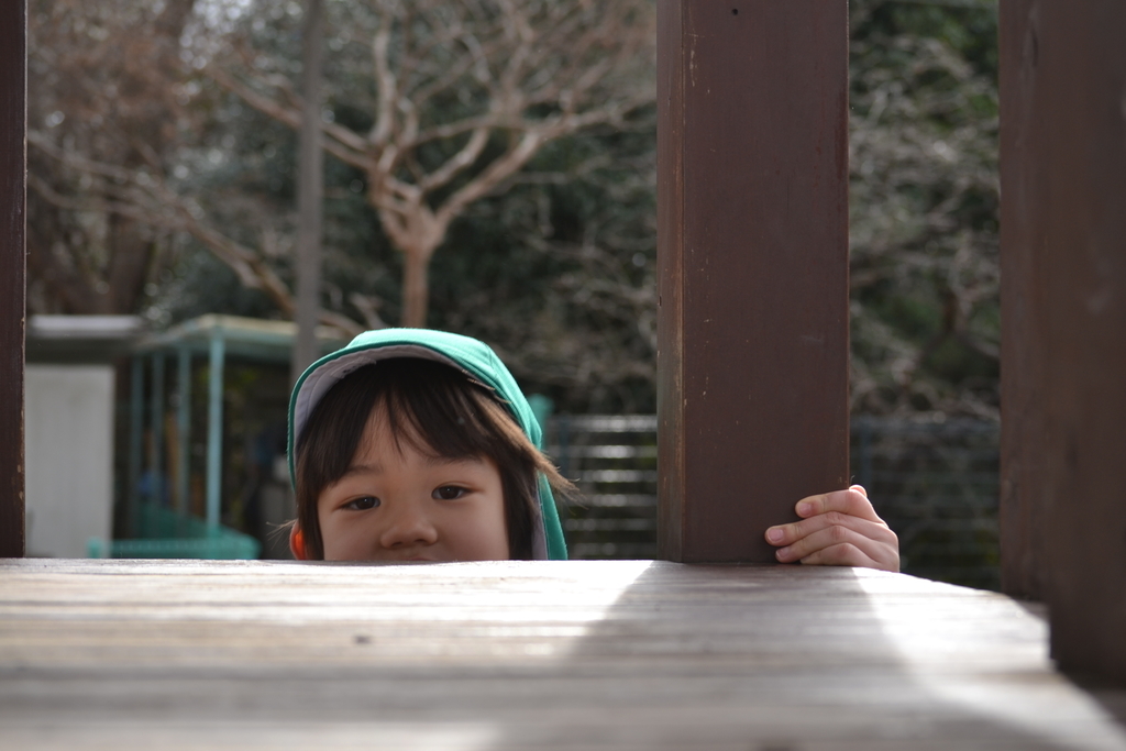 f:id:draper:20190208195719j:plain