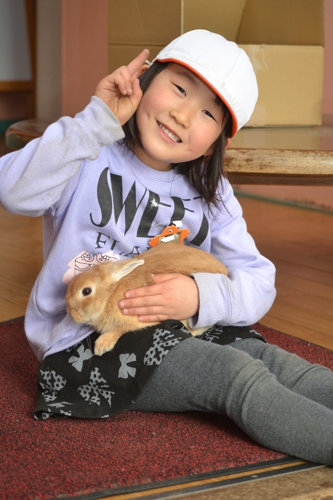 f:id:draper:20190208200542j:plain