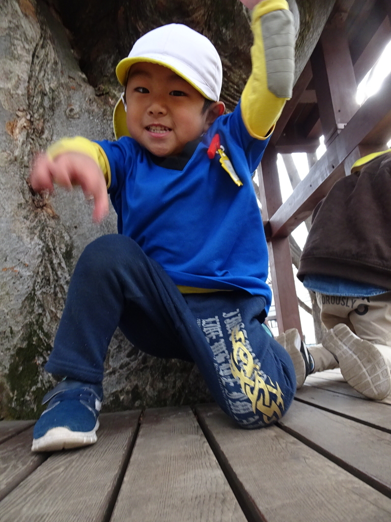 f:id:draper:20190226104347j:plain