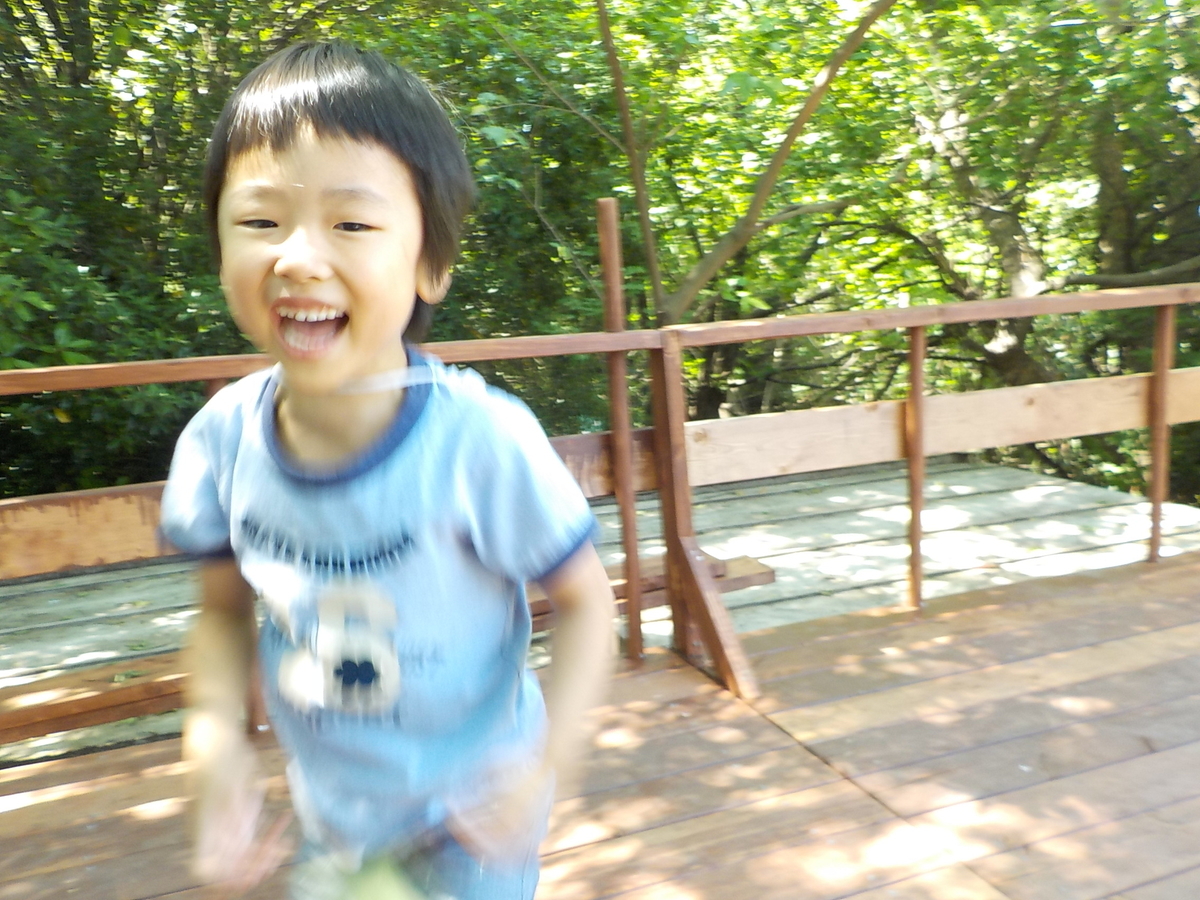f:id:draper:20190524135613j:plain