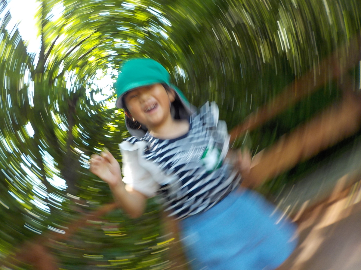 f:id:draper:20190524135709j:plain