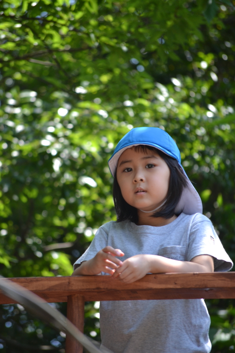 f:id:draper:20190524181709j:plain