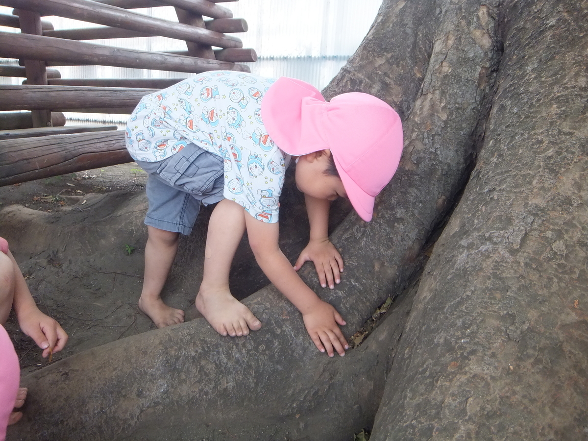 f:id:draper:20190604150642j:plain