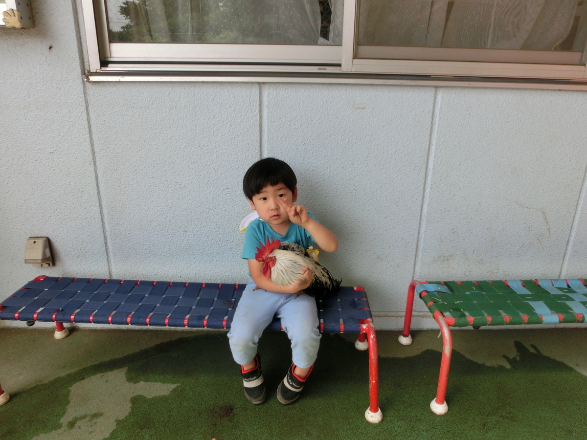 f:id:draper:20190604154307j:plain