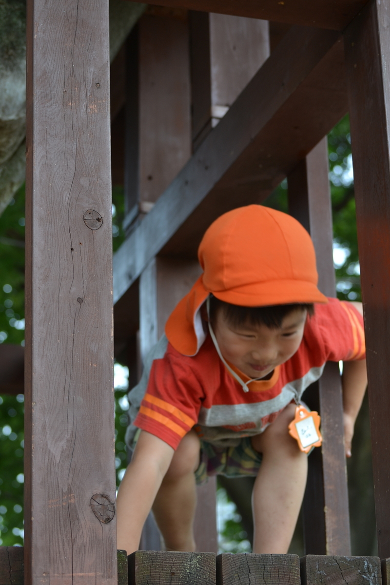f:id:draper:20190604183308j:plain