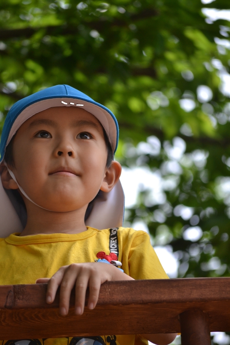 f:id:draper:20190604183447j:plain