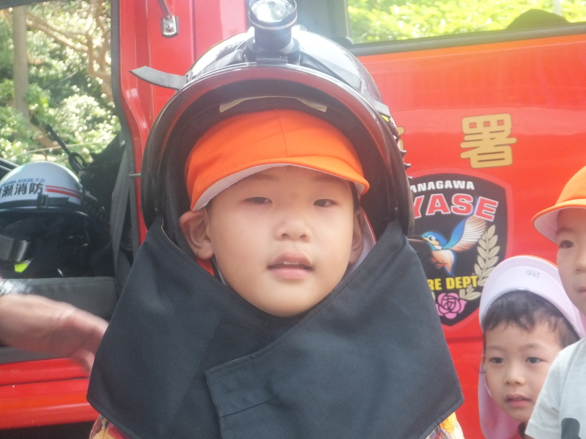 f:id:draper:20190606152709j:plain