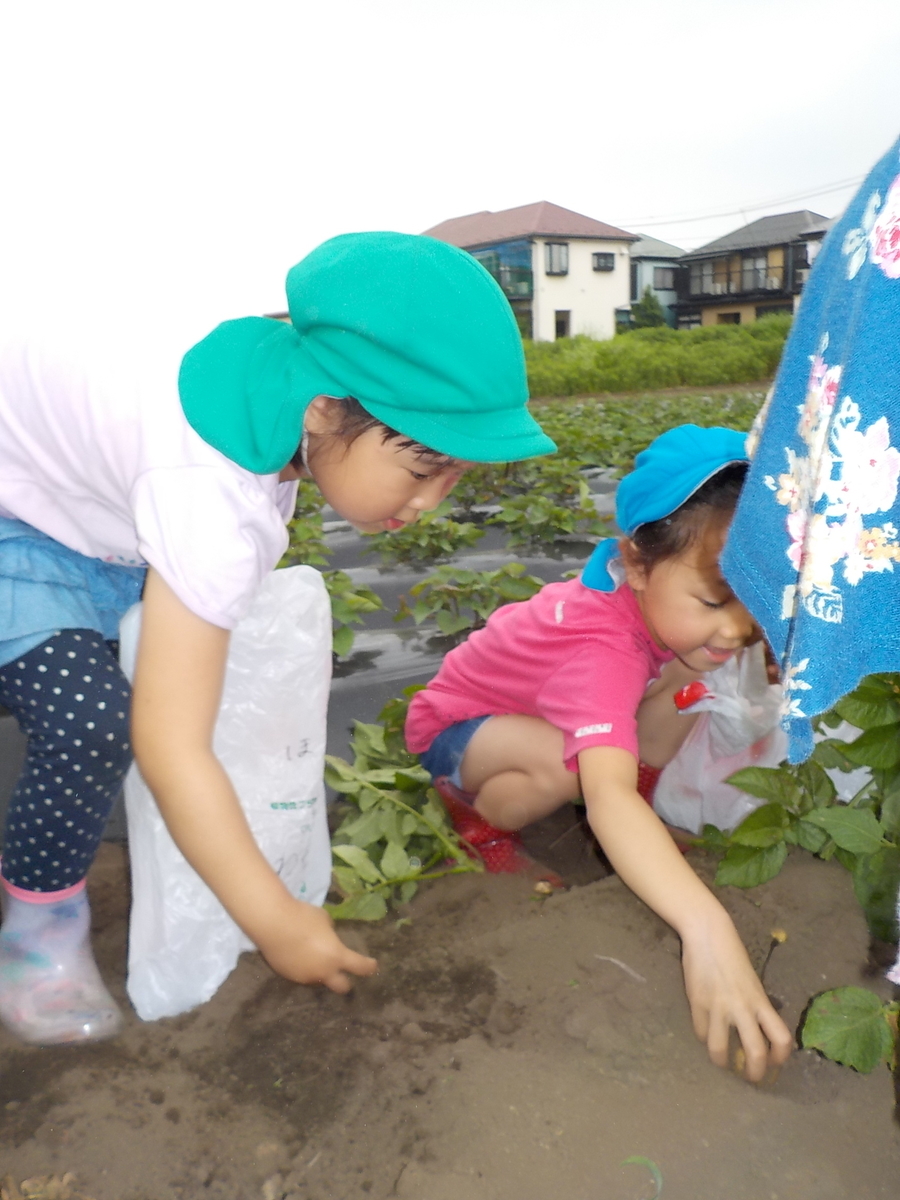 f:id:draper:20190607143443j:plain f:id:draper:20190607143443j:plain