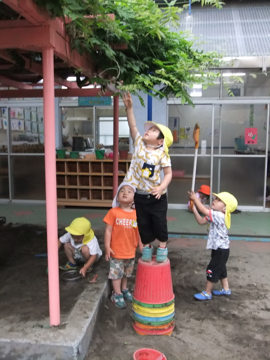 f:id:draper:20190607152216j:plain f:id:draper:20190607152216j:plain
