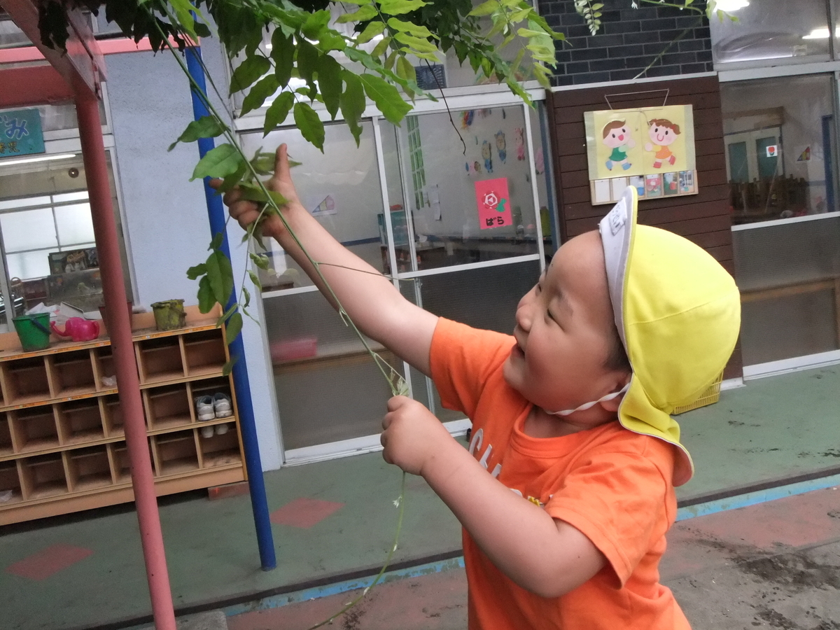 f:id:draper:20190607180126j:plain f:id:draper:20190607180126j:plain