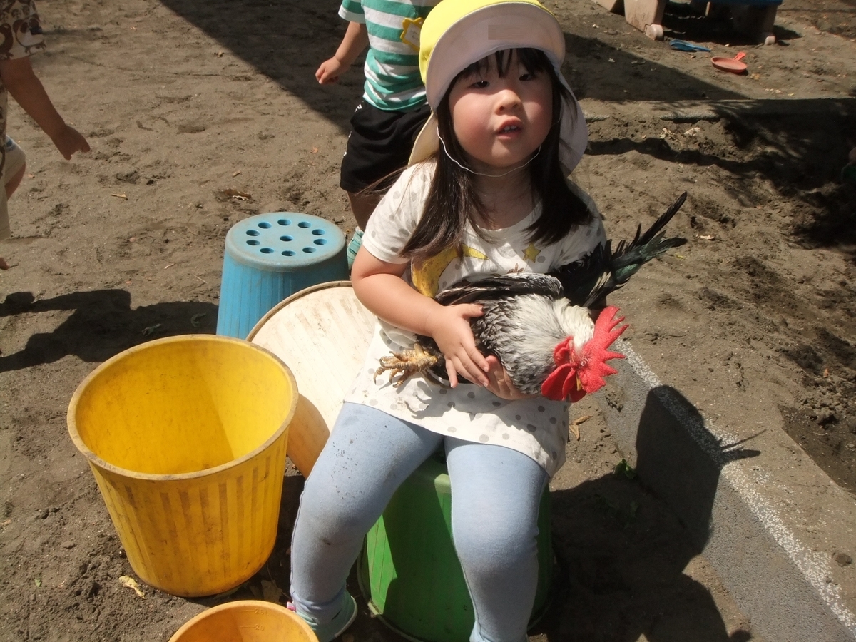 f:id:draper:20190613150104j:plain
