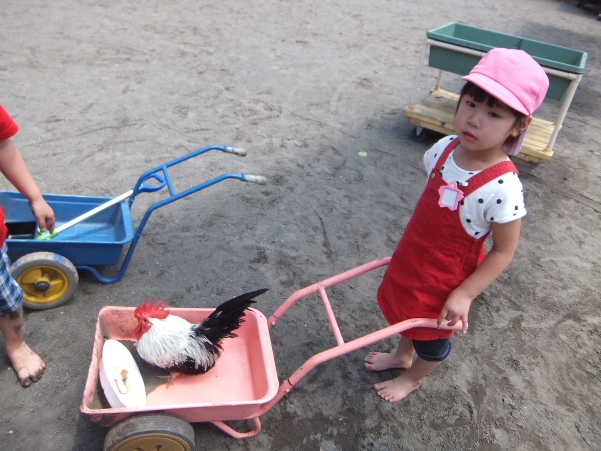f:id:draper:20190613151439j:plain