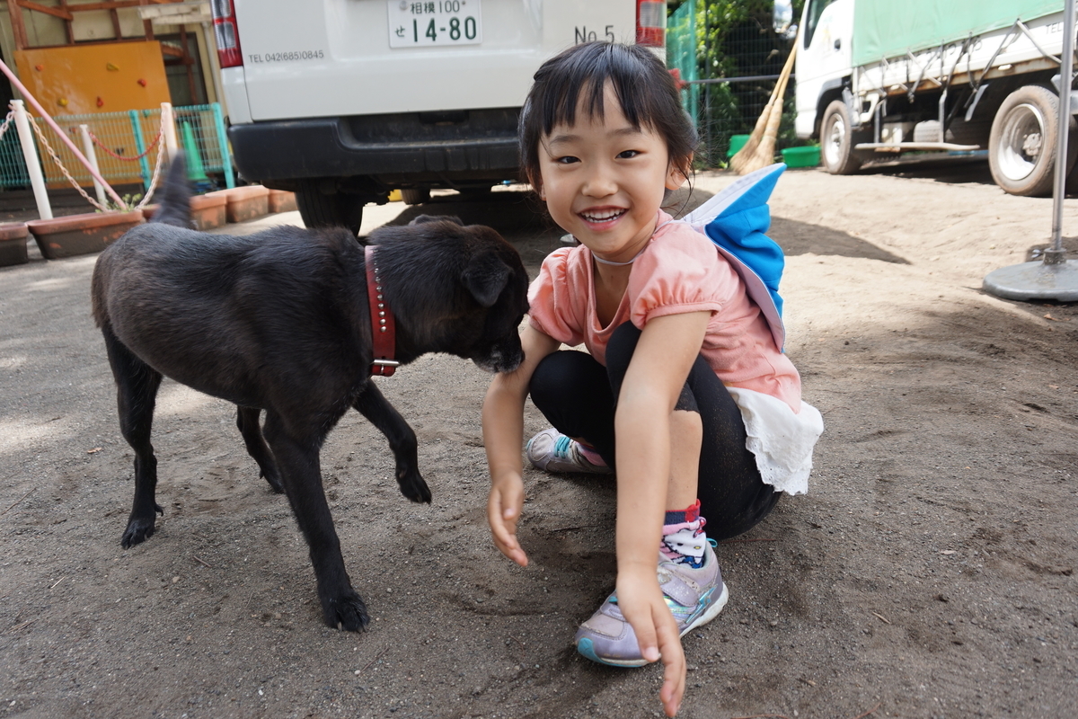 f:id:draper:20190615004634j:plain
