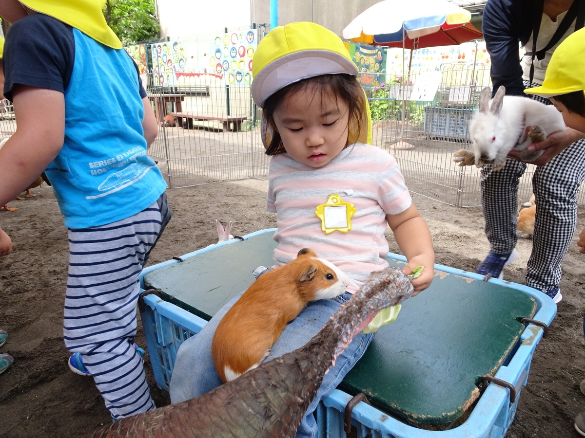 f:id:draper:20190615004849j:plain