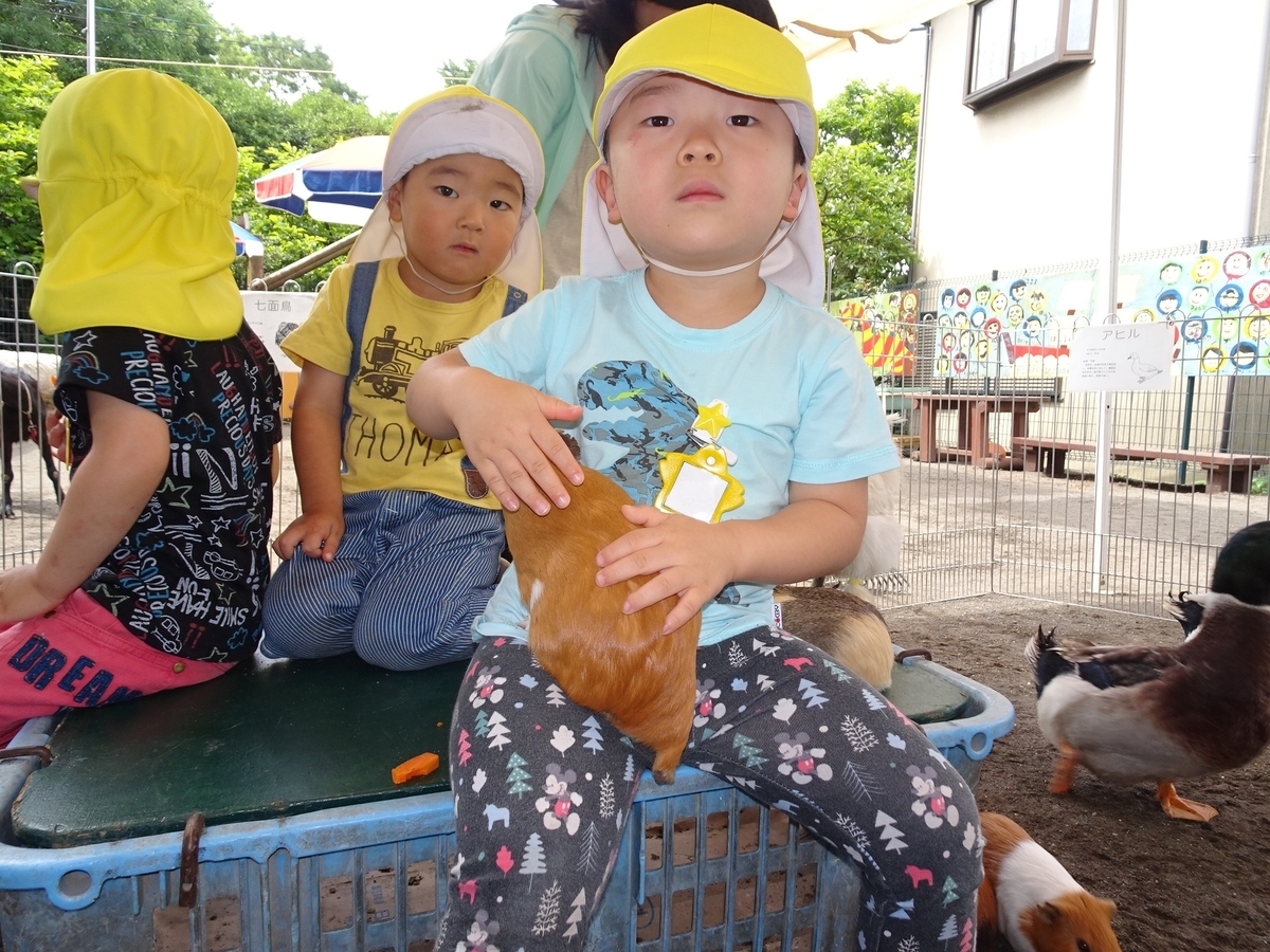 f:id:draper:20190615004952j:plain