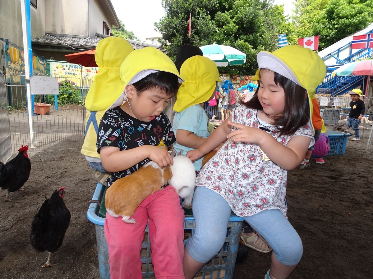 f:id:draper:20190615005015j:plain