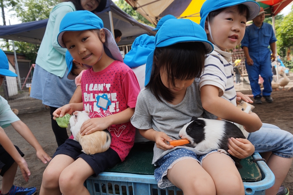 f:id:draper:20190615005102j:plain