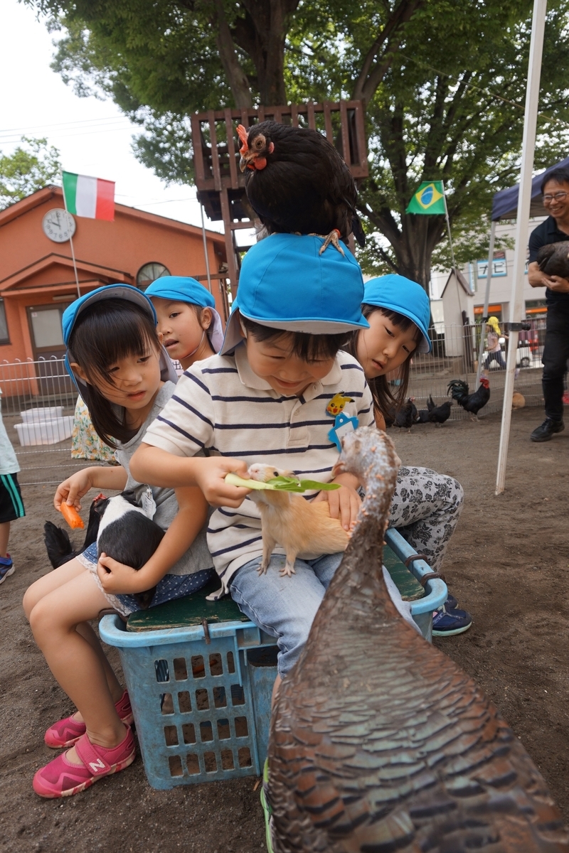 f:id:draper:20190615005234j:plain