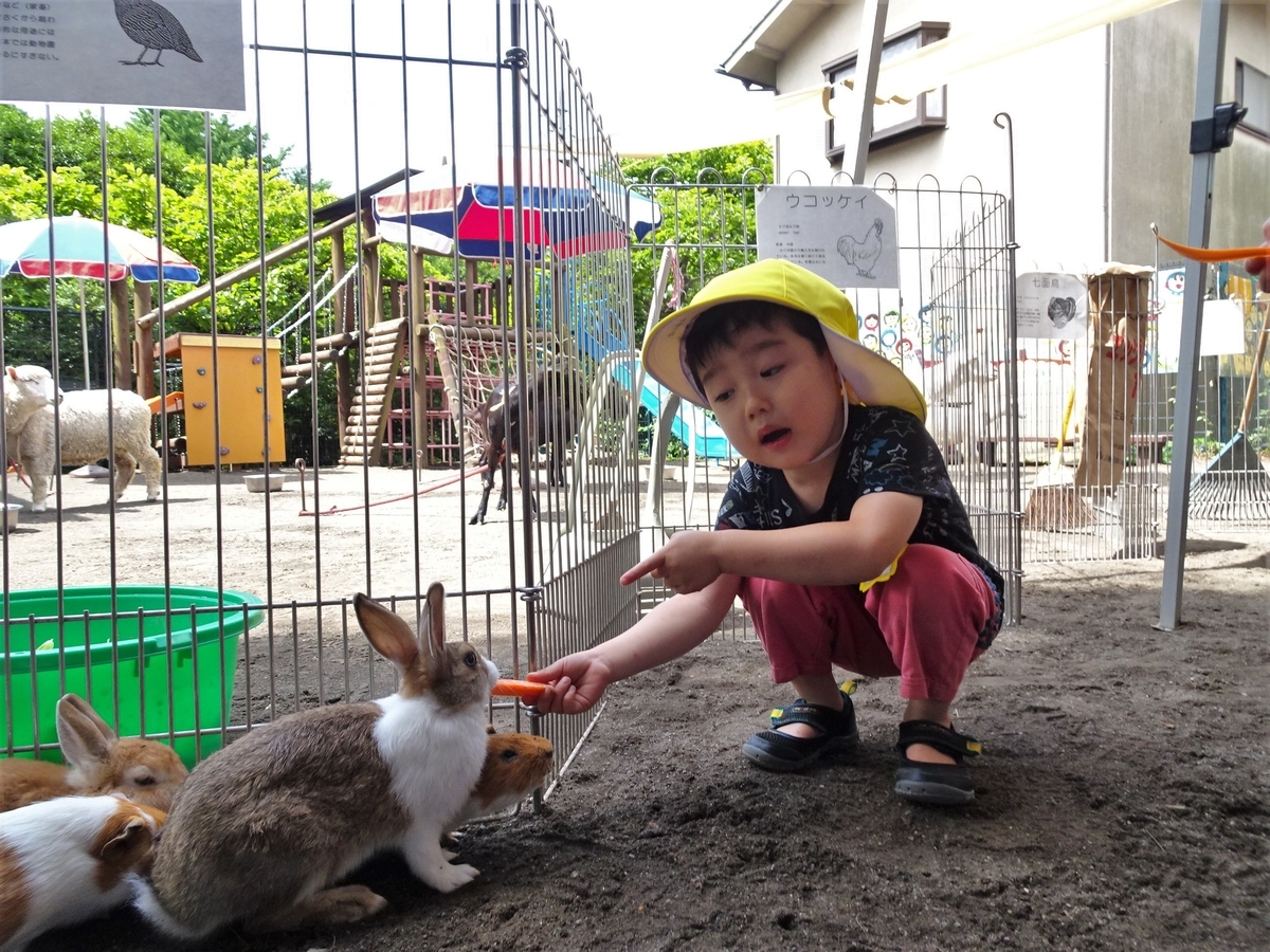 f:id:draper:20190615005416j:plain