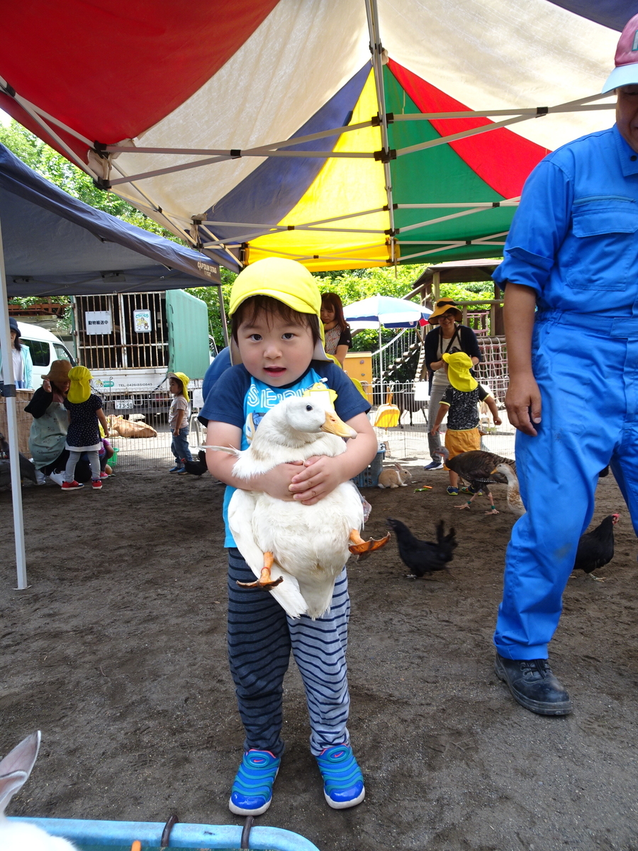 f:id:draper:20190615005826j:plain