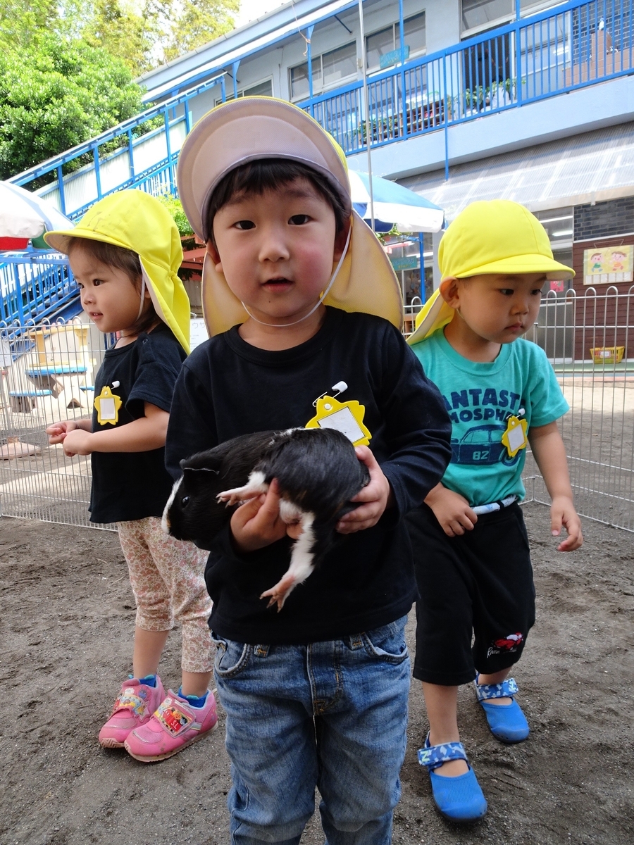f:id:draper:20190615010052j:plain