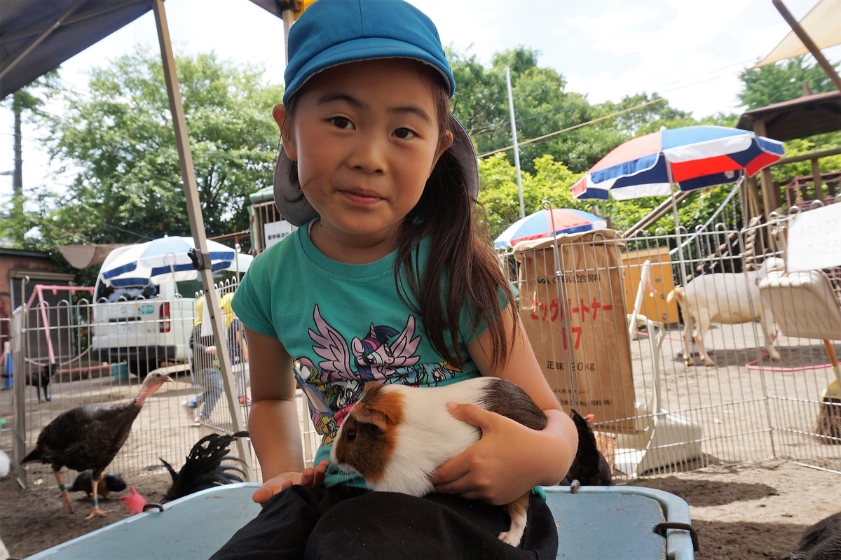 f:id:draper:20190615010123j:plain
