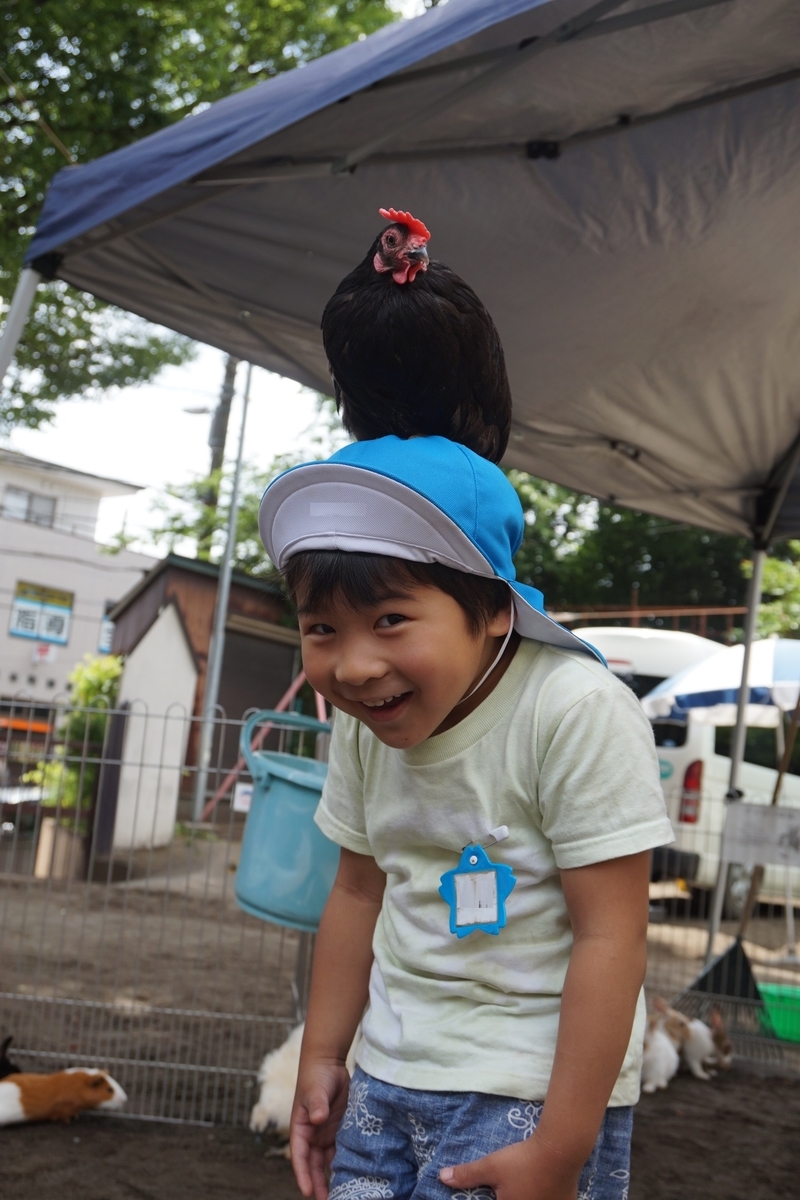 f:id:draper:20190615010211j:plain