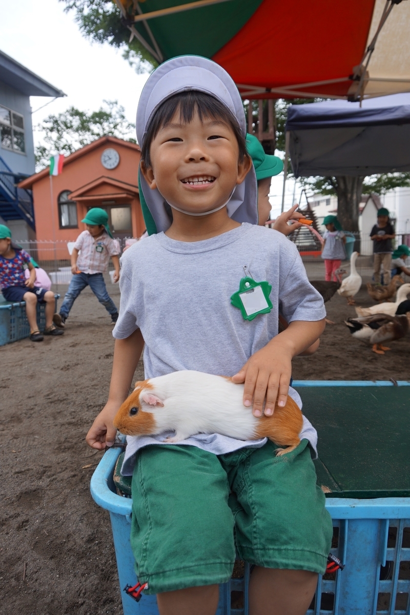 f:id:draper:20190615011656j:plain