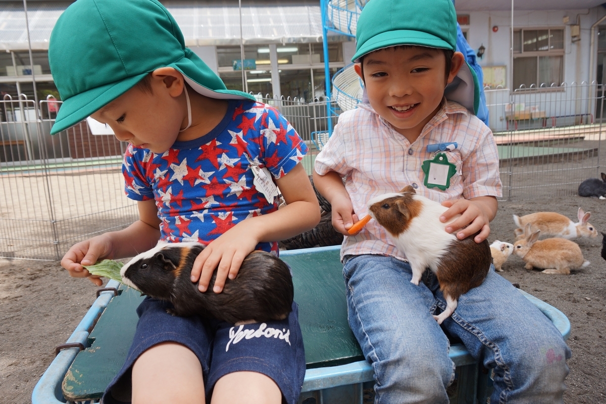 f:id:draper:20190615011738j:plain