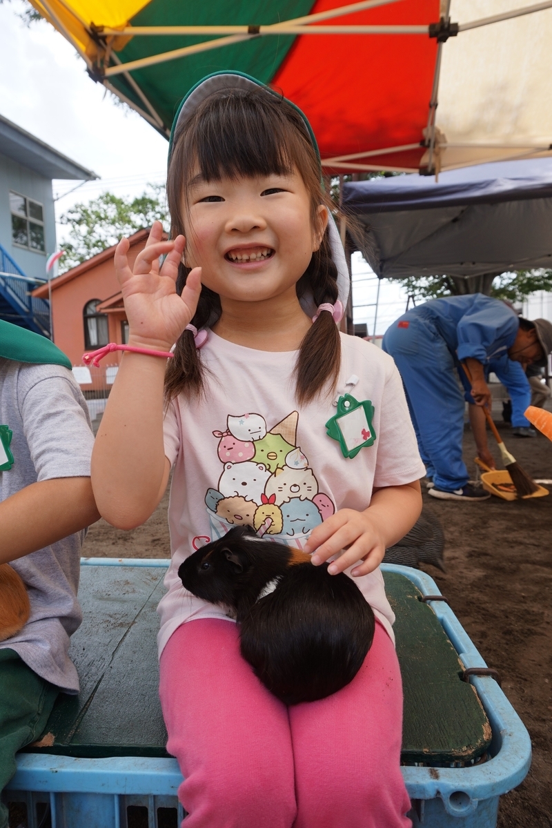 f:id:draper:20190615011809j:plain
