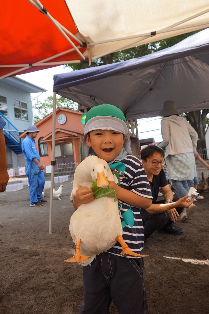 f:id:draper:20190615011946j:plain