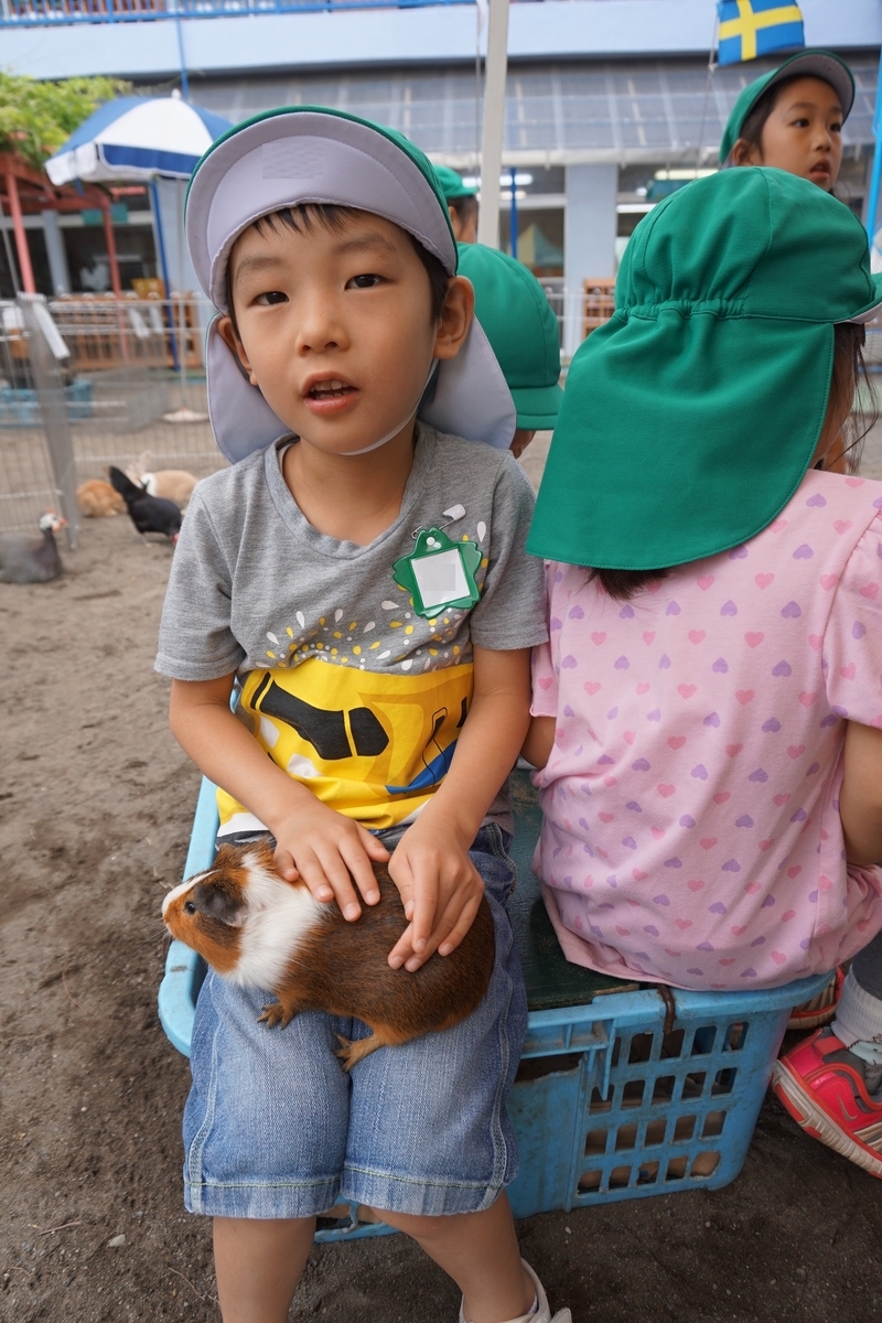 f:id:draper:20190615012118j:plain
