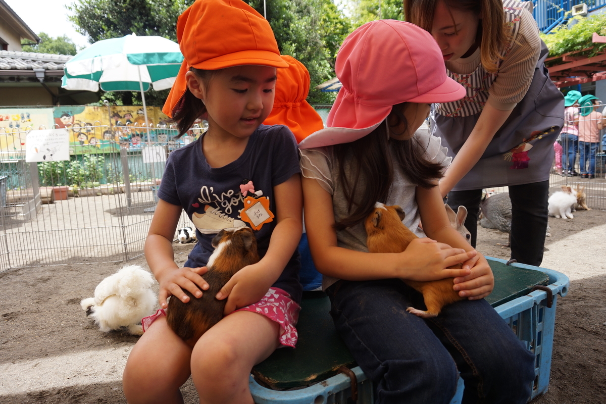 f:id:draper:20190615012145j:plain